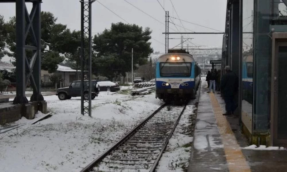 Τιθορέα: Τρένο συγκρούστηκε με αγριογούρουνα